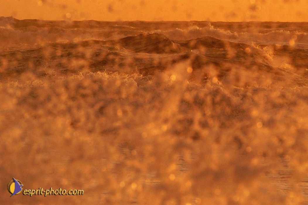 Nom de l'image : EP08-0379_(c)Norbert-JUNG — Description :